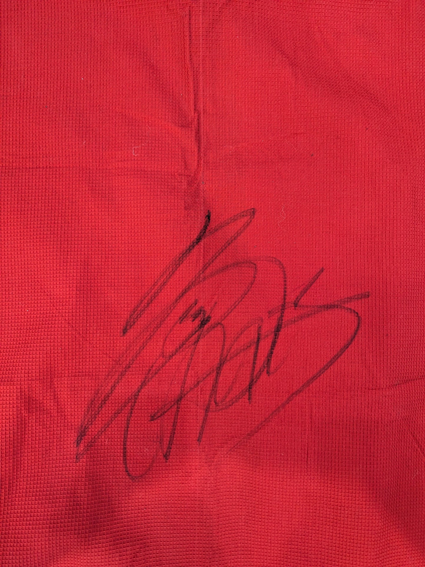 ★ For admission to Toru Yano worn by him ★ Happi （a traditional. Japanese coat（a traditional. Japanese coat）