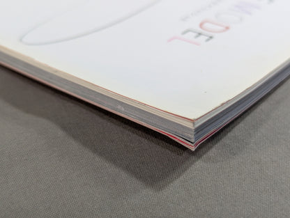 All Japan Pro Wrestling  Foreign fighters  encyclopedia / All Japan Pro Wrestling 40th Anniversary Special Project