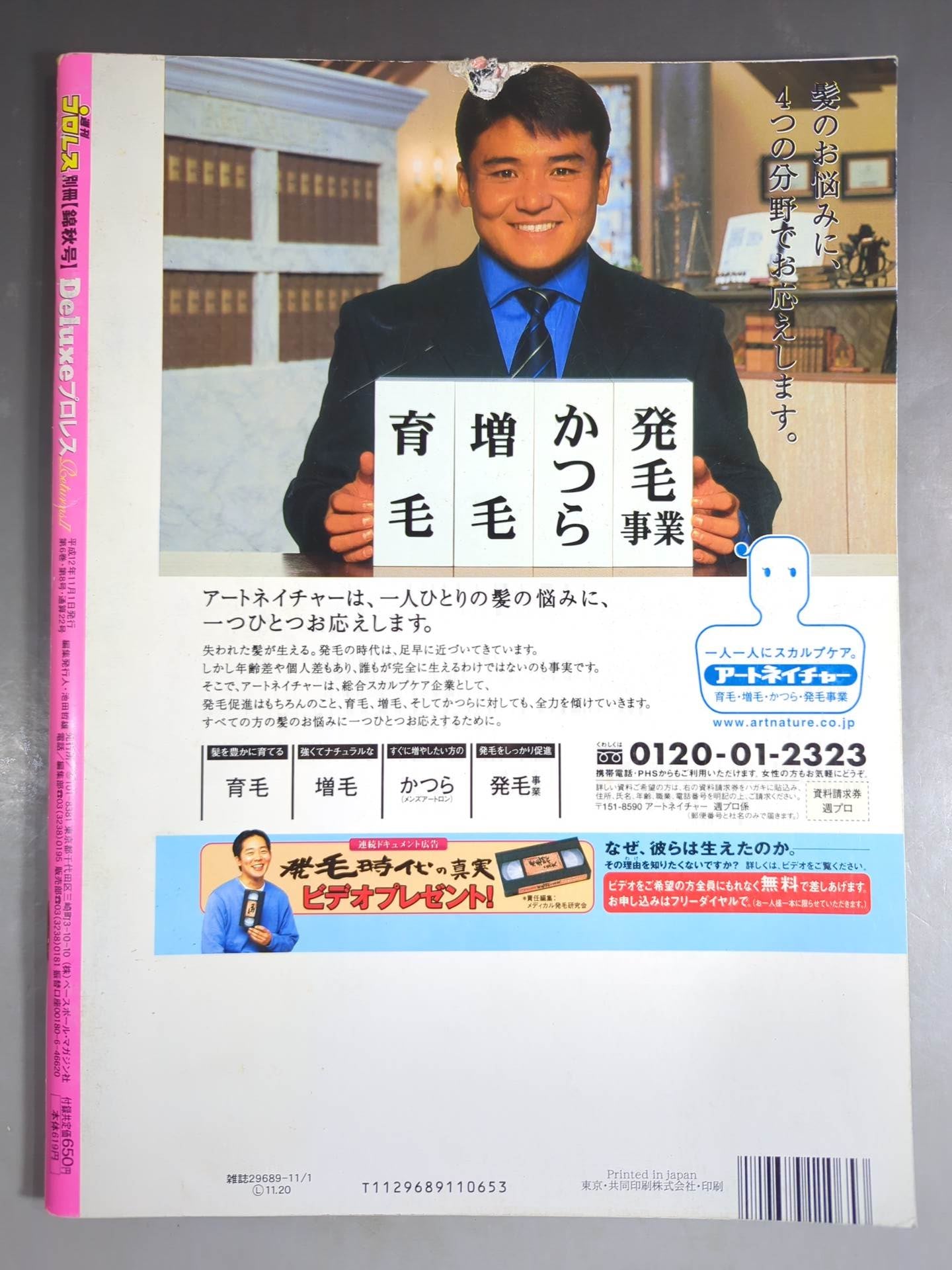 Deluxe Pro Wrestling 22 Weekly Pro Wrestling  Separate Volume [Jinshu Issue]