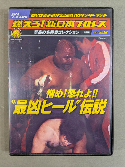 Burn! New Japan Pro Wrestling  vol.29