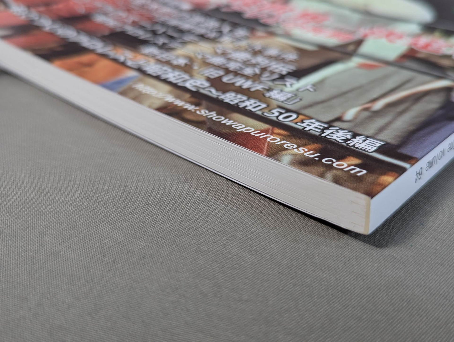 Dr. Mick's Showa Pro Wrestling Magazine No. ★ 64 Martial Arts World Championship Battle Ruska ★ Ali