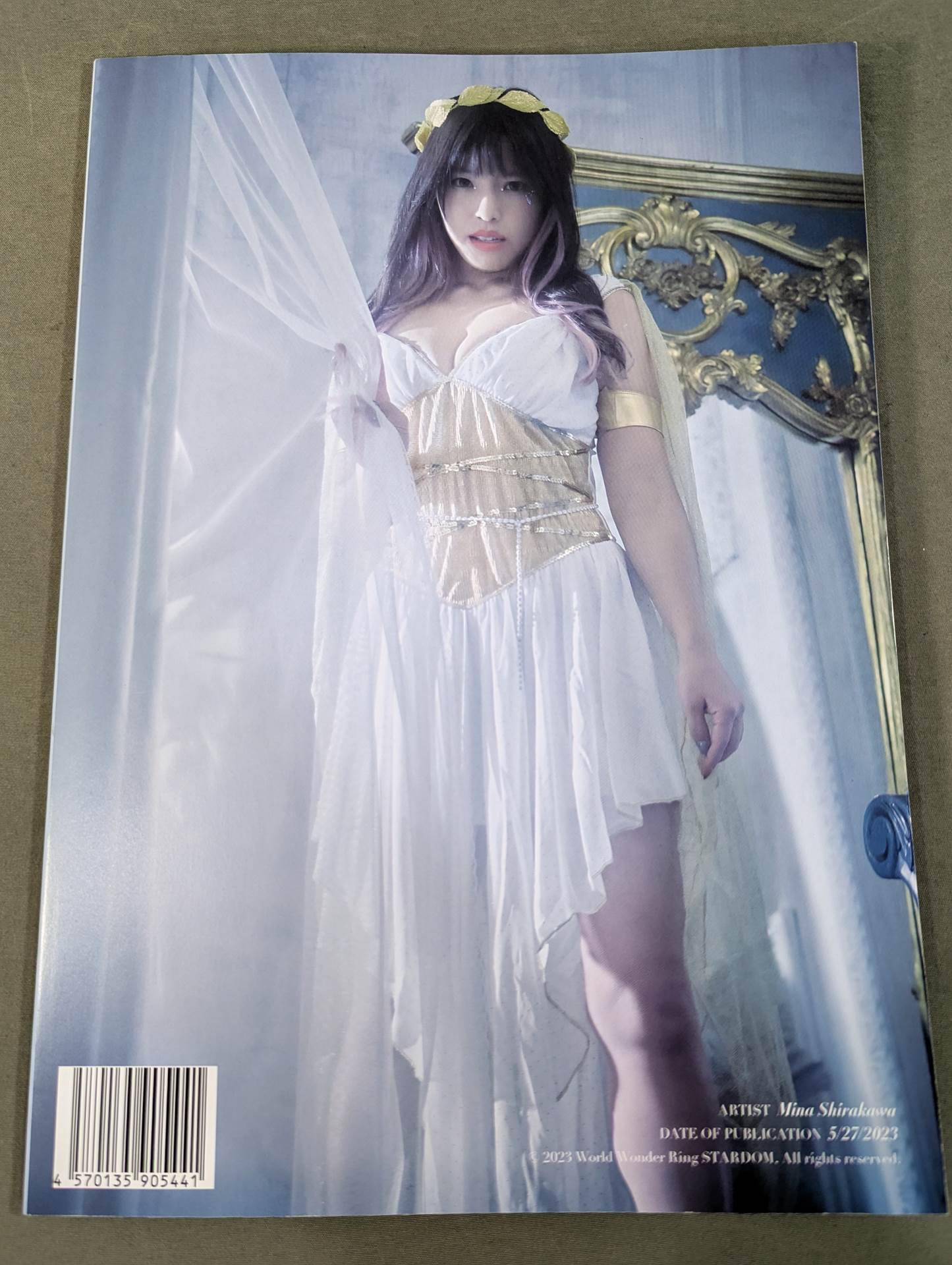 Mina Shirakawa  photo  THE VENUS