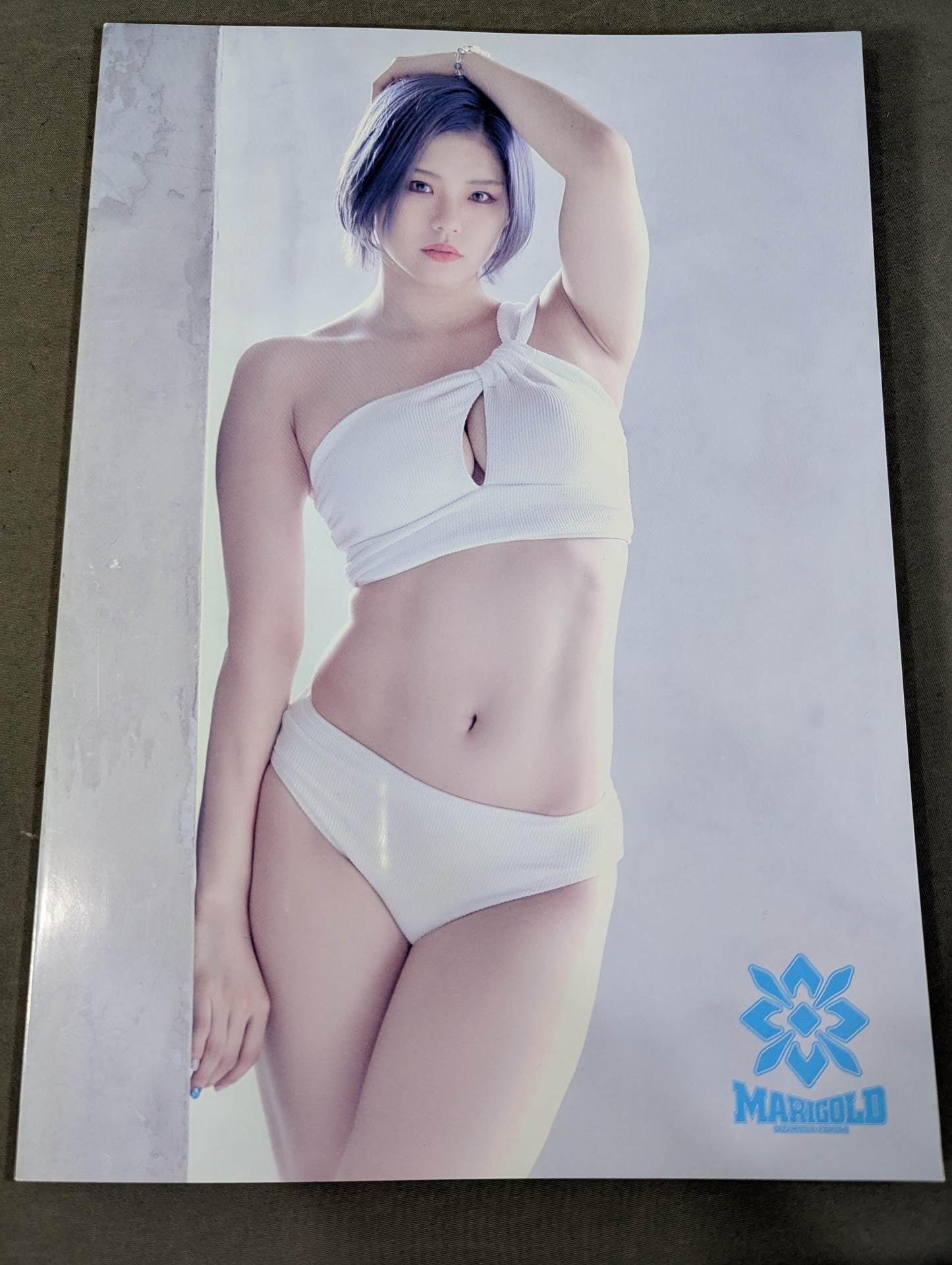 マリーゴールド 写真集 BIKINI STYLE – 闘道館