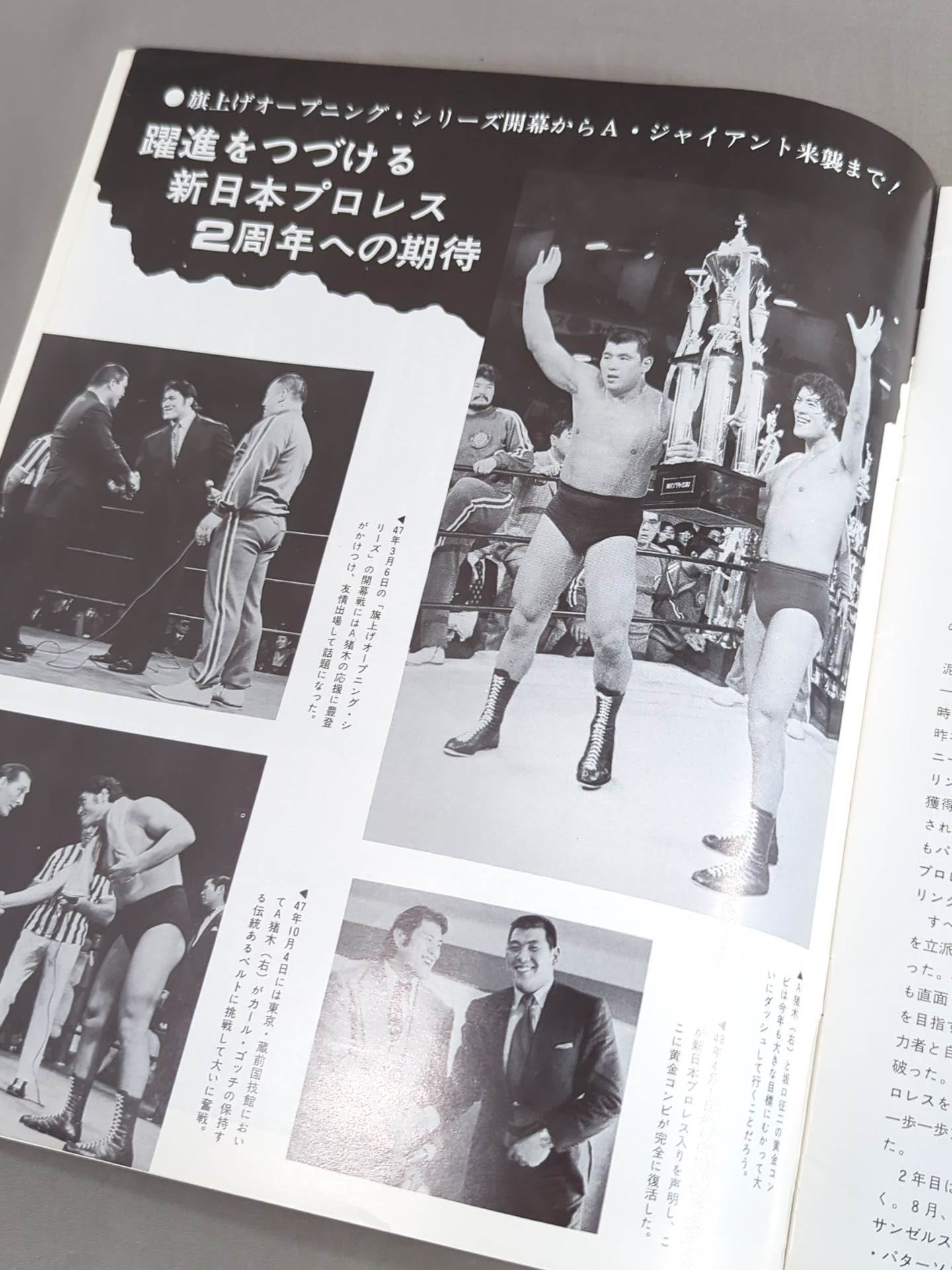 74ビッグ・ファイト・シリーズ