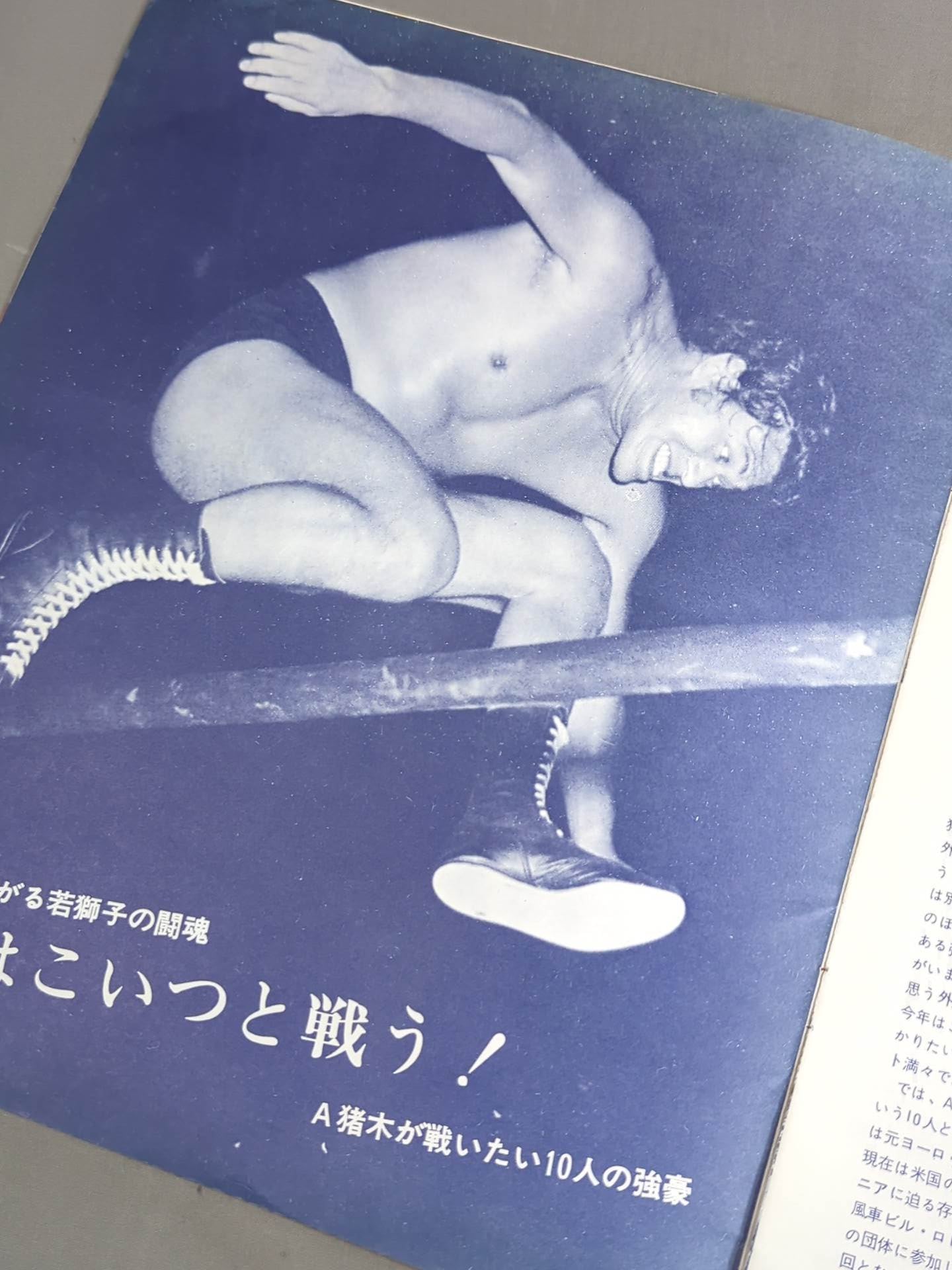 73新春バッファロー・シリーズ