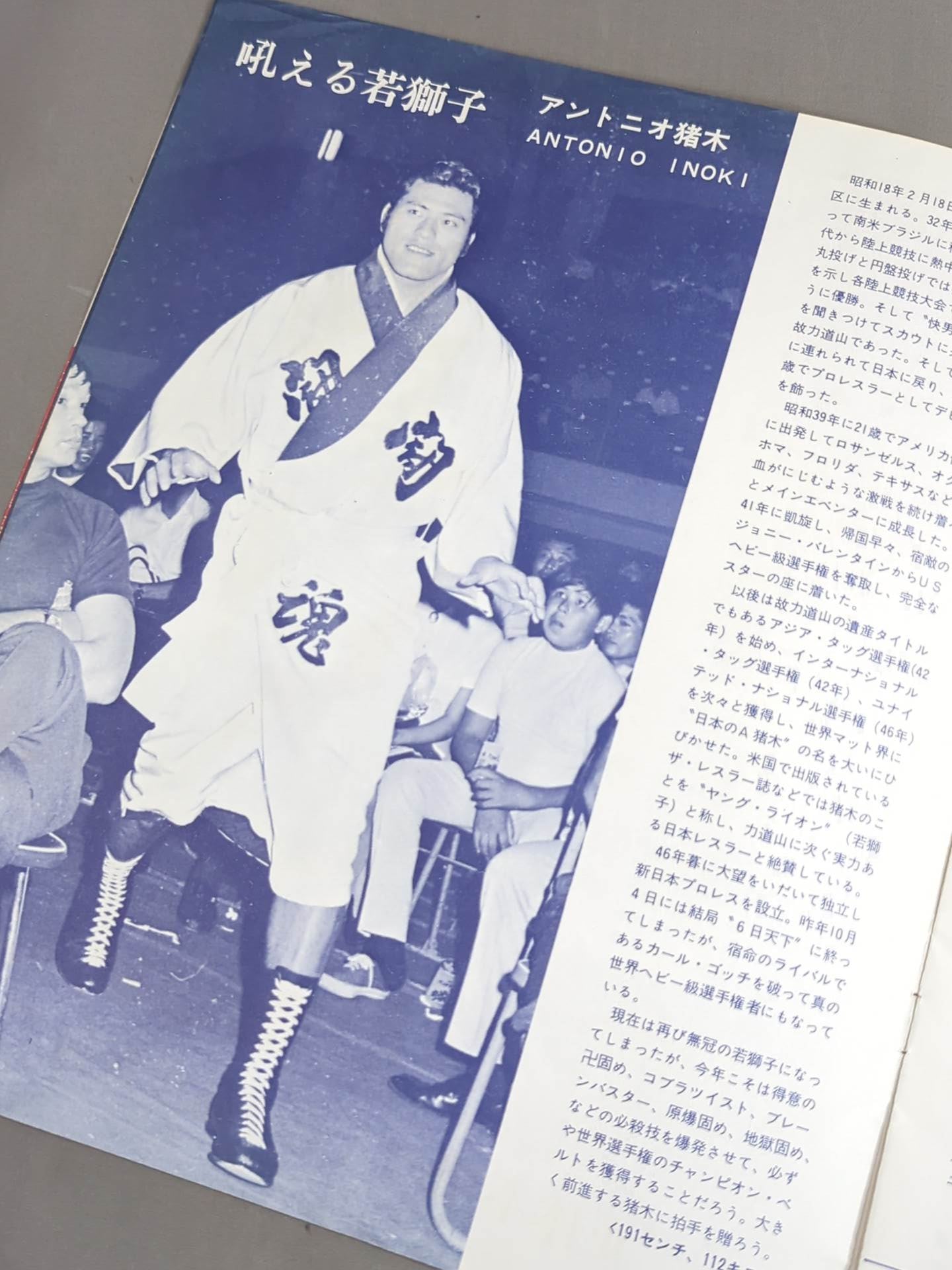 73新春バッファロー・シリーズ