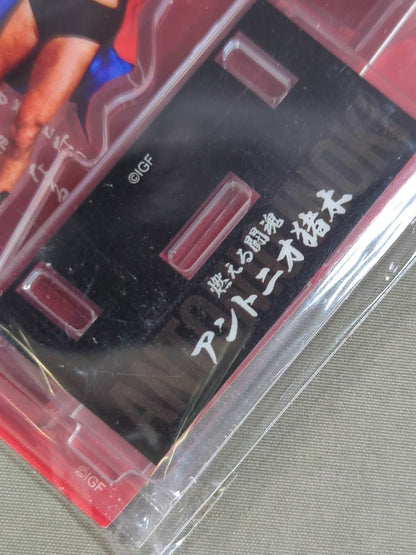 ★ありがとう! 燃える闘魂★ アントニオ猪木 アクリルスタンド