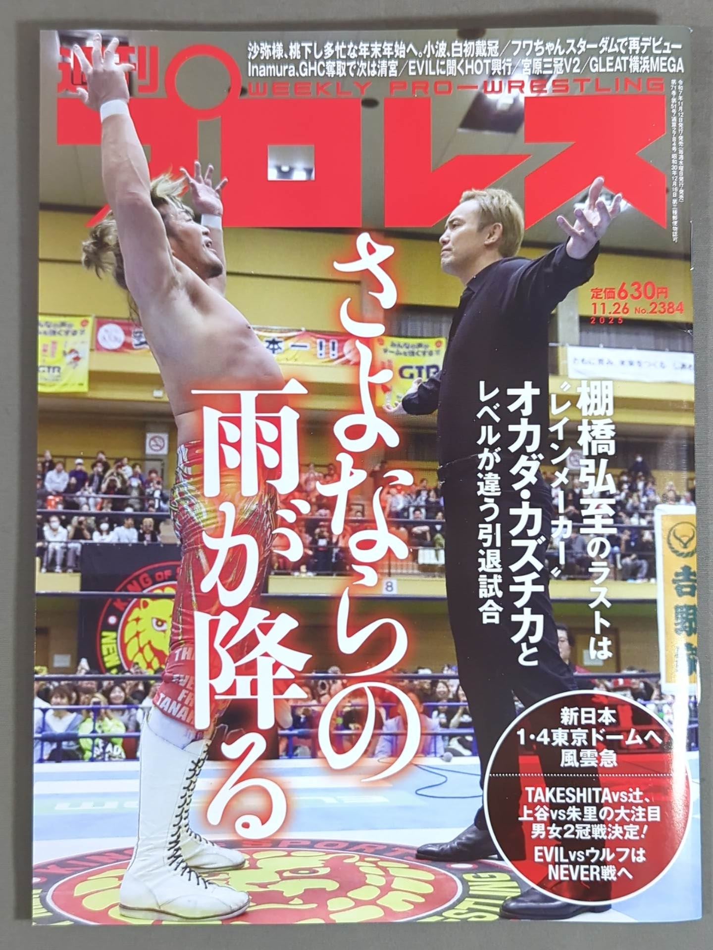 Weekly Pro Wrestling 2384