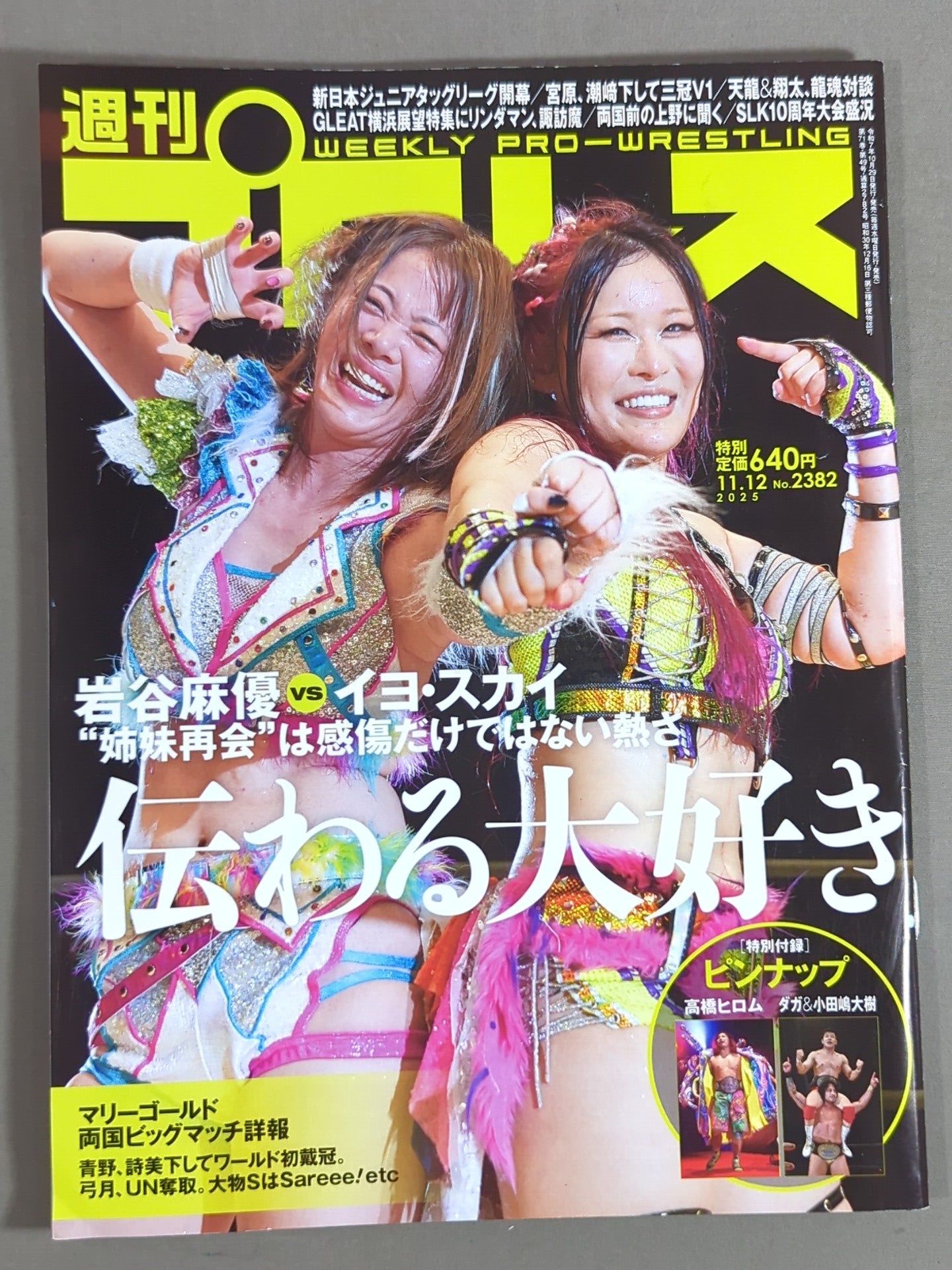 週刊プロレス2382