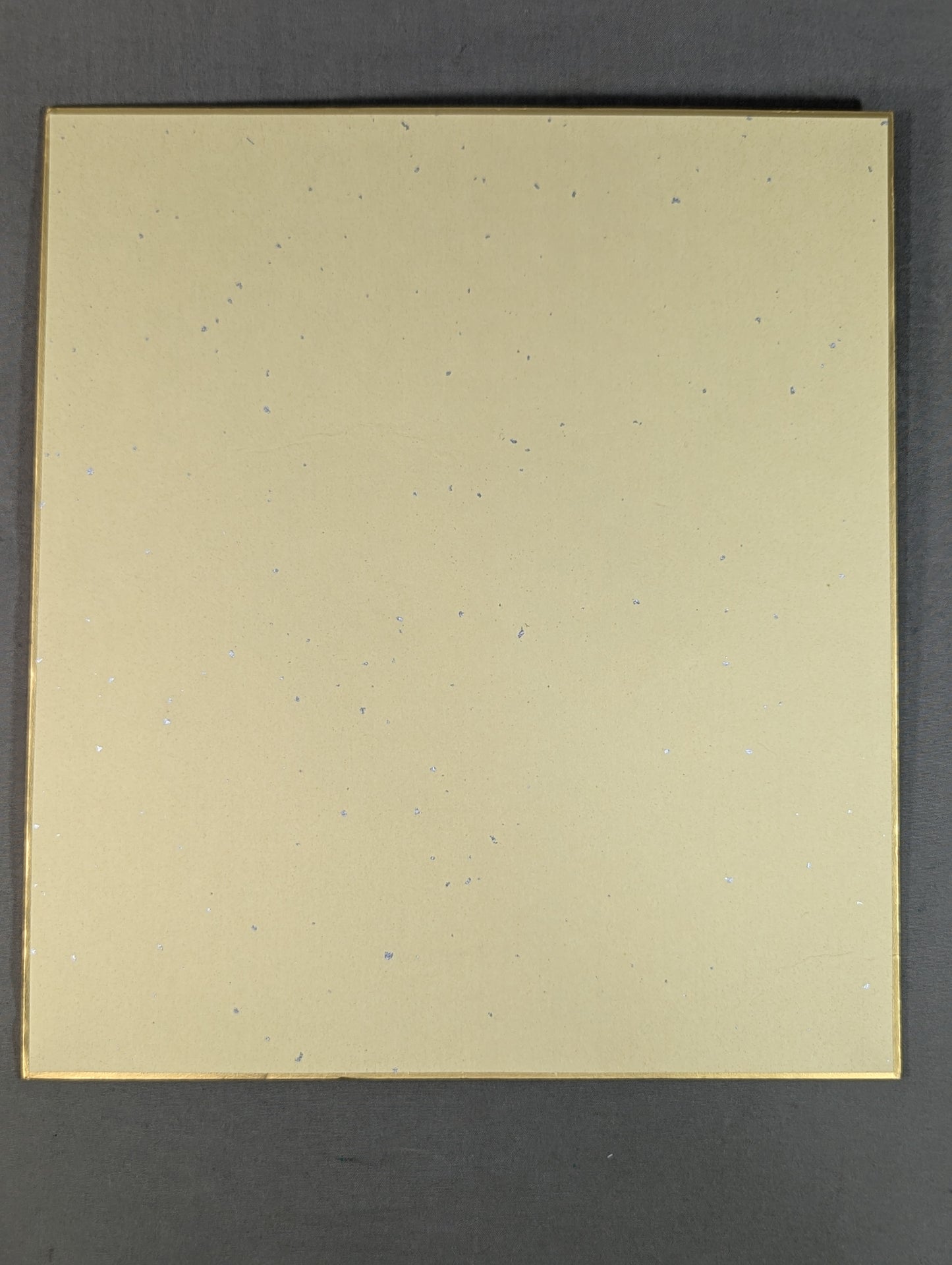 藤波辰爾＆スタン・ハンセン