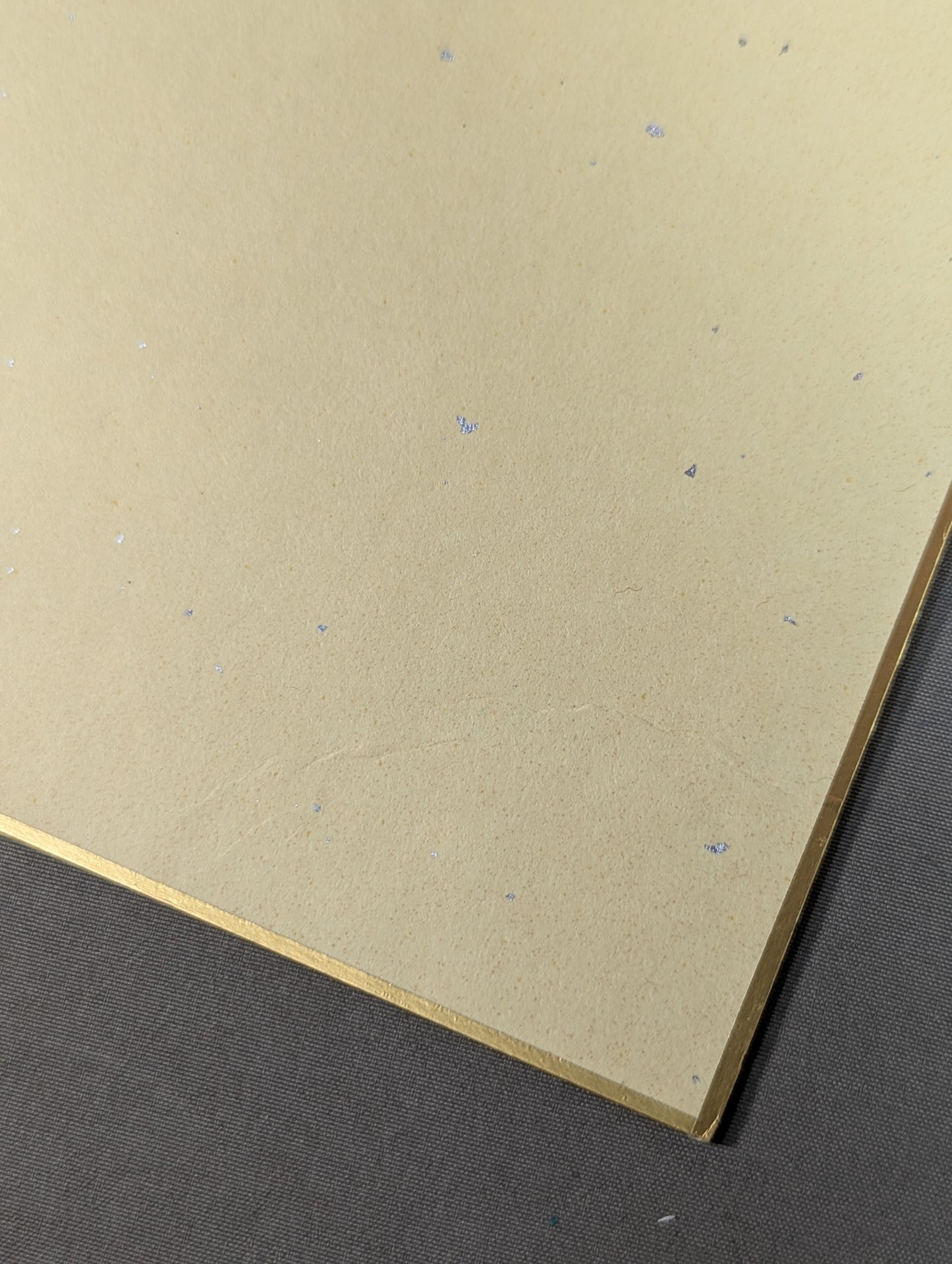 藤波辰爾＆スタン・ハンセン