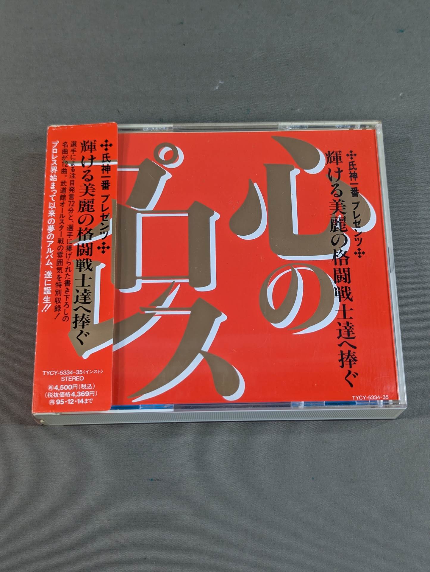 心のプロレス 輝ける美麗の格闘戦士達へ捧ぐ