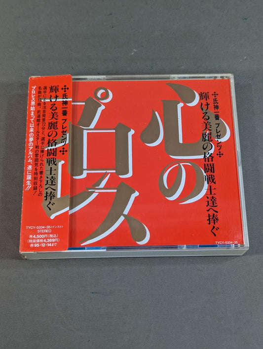 心のプロレス 輝ける美麗の格闘戦士達へ捧ぐ