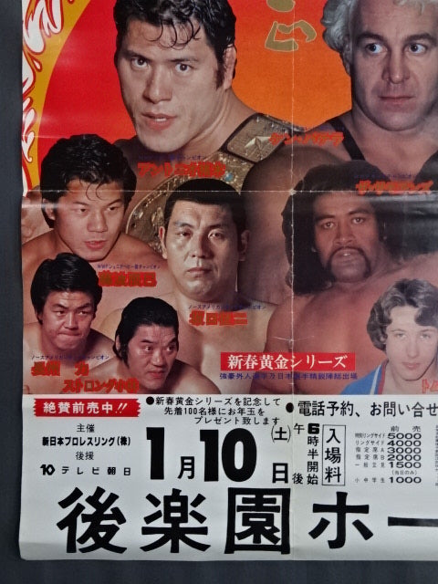 81 New Year Golden Series