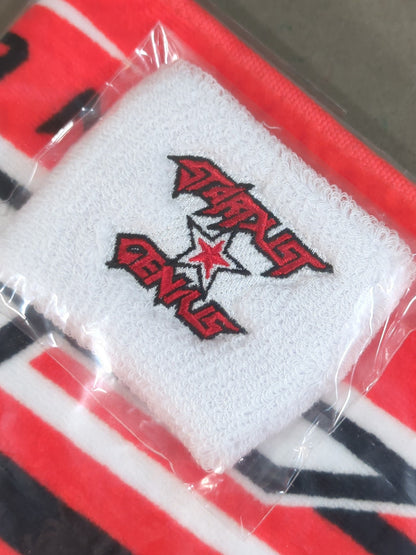 Tetsuya Naito wristband with muffler towel
