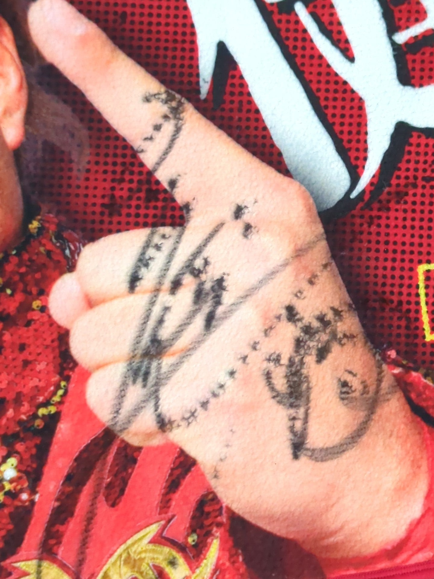 【hand signed autograph】 Kento Miyahara  Cheering towel