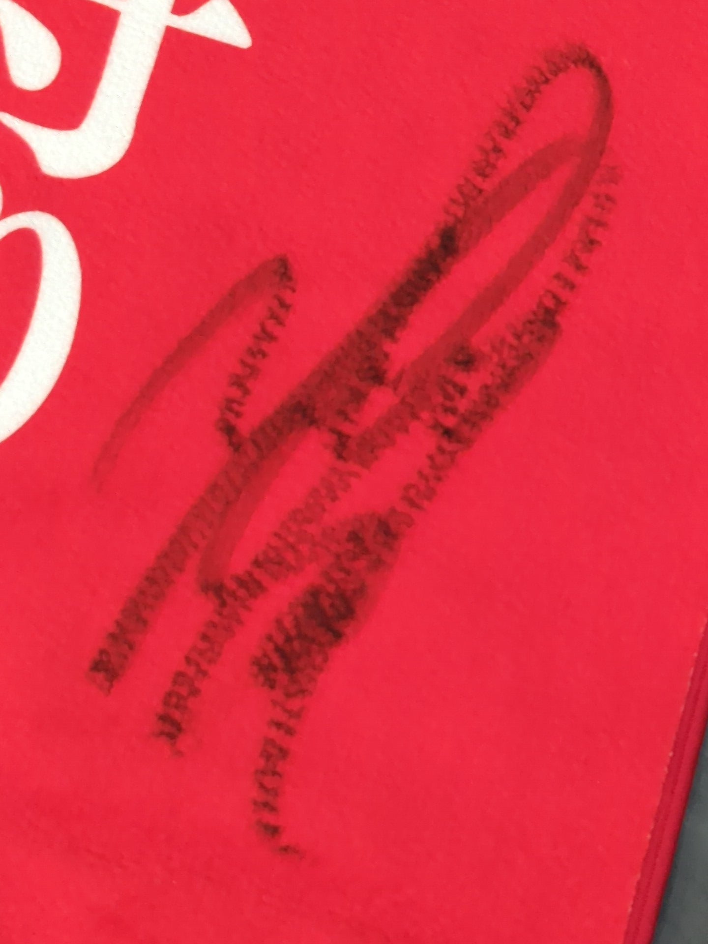 【hand signed autograph】 Yumiko Hotta: "Pro Wrestling is my "talisman" face towel