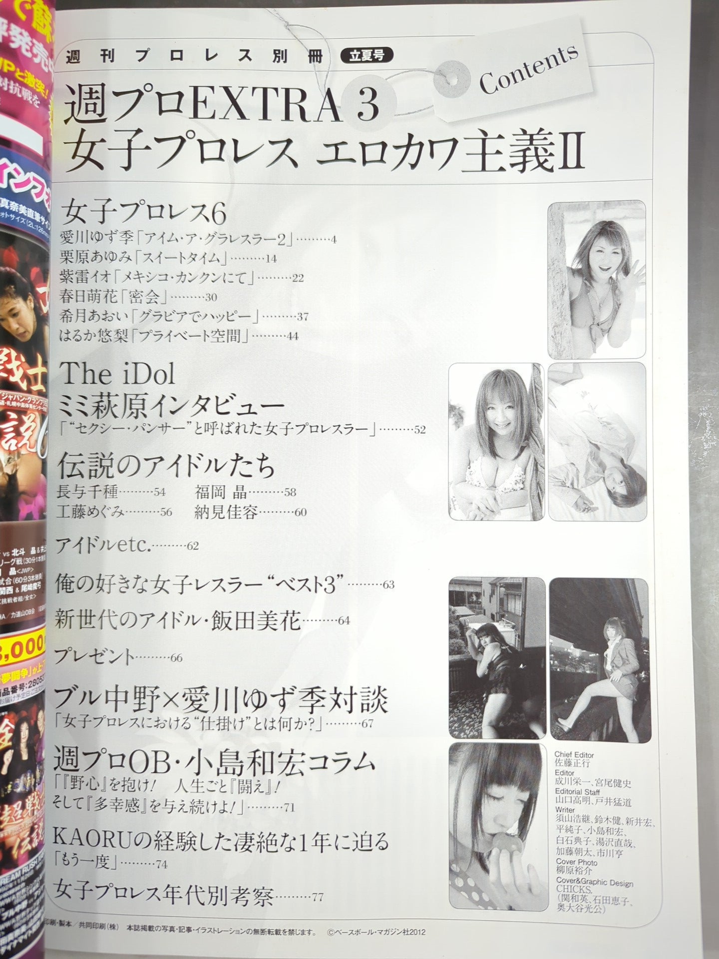 Weekly Pro Wrestling  Appendix 97 "Girls Pro Wrestling  Erokawaism II."