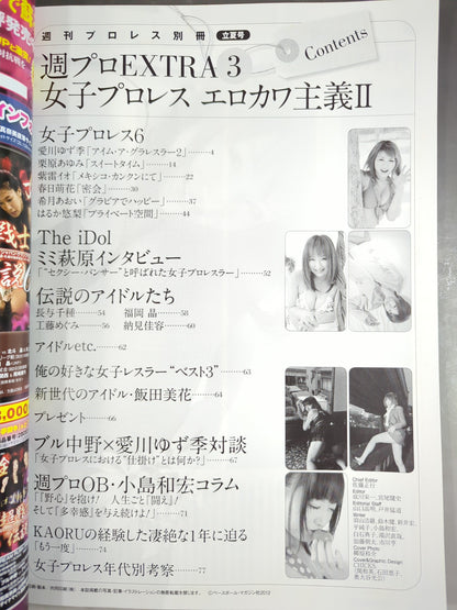 Weekly Pro Wrestling  Appendix 97 "Girls Pro Wrestling  Erokawaism II."
