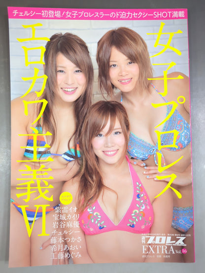 Weekly Pro Wrestling  Appendix 122 "Girls Pro Wrestling  Erokawa-ism VI."