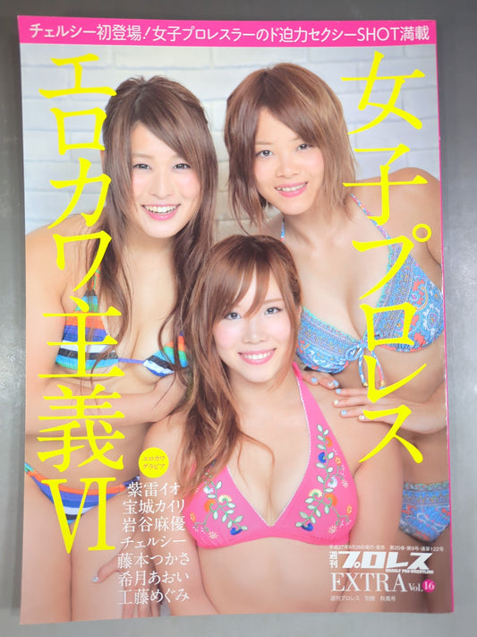 Weekly Pro Wrestling  Appendix 122 "Girls Pro Wrestling  Erokawa-ism VI."