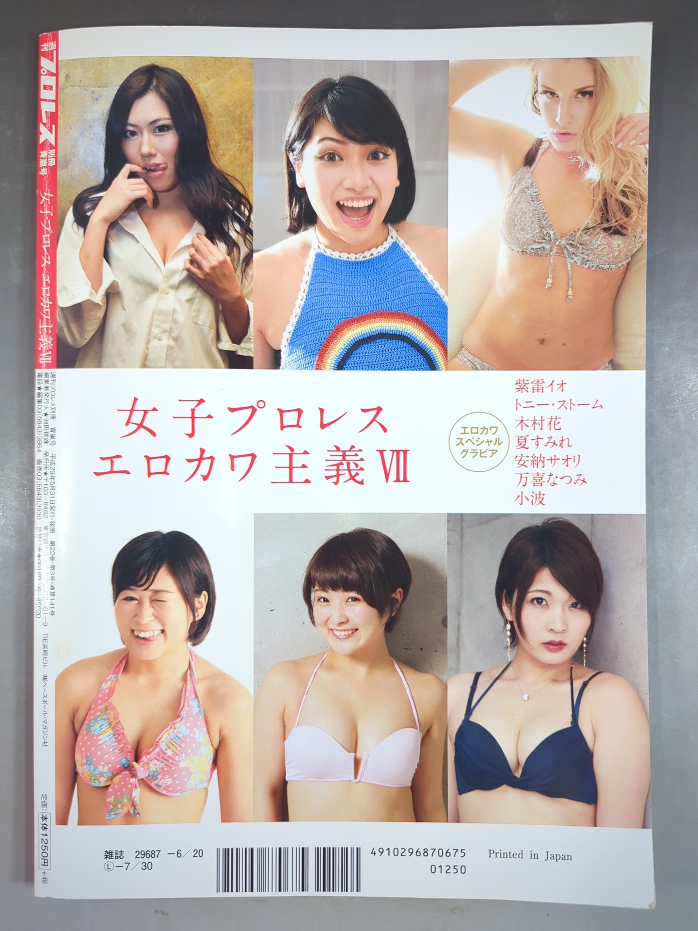 Appendix 141 of Weekly Pro Wrestling  "Women's Pro Wrestling  Erokawa-ism VII."