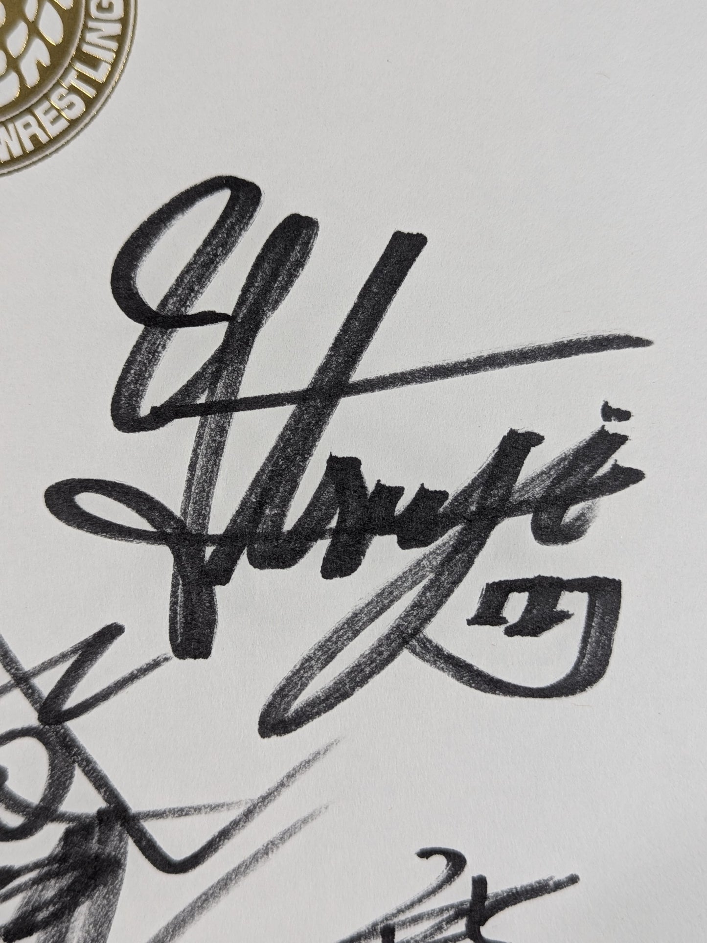 ★ ★ LOS INGOBERNABLES de JAPON 5 fighters  (Lion Mark Shikishi ( Autograph board ) )