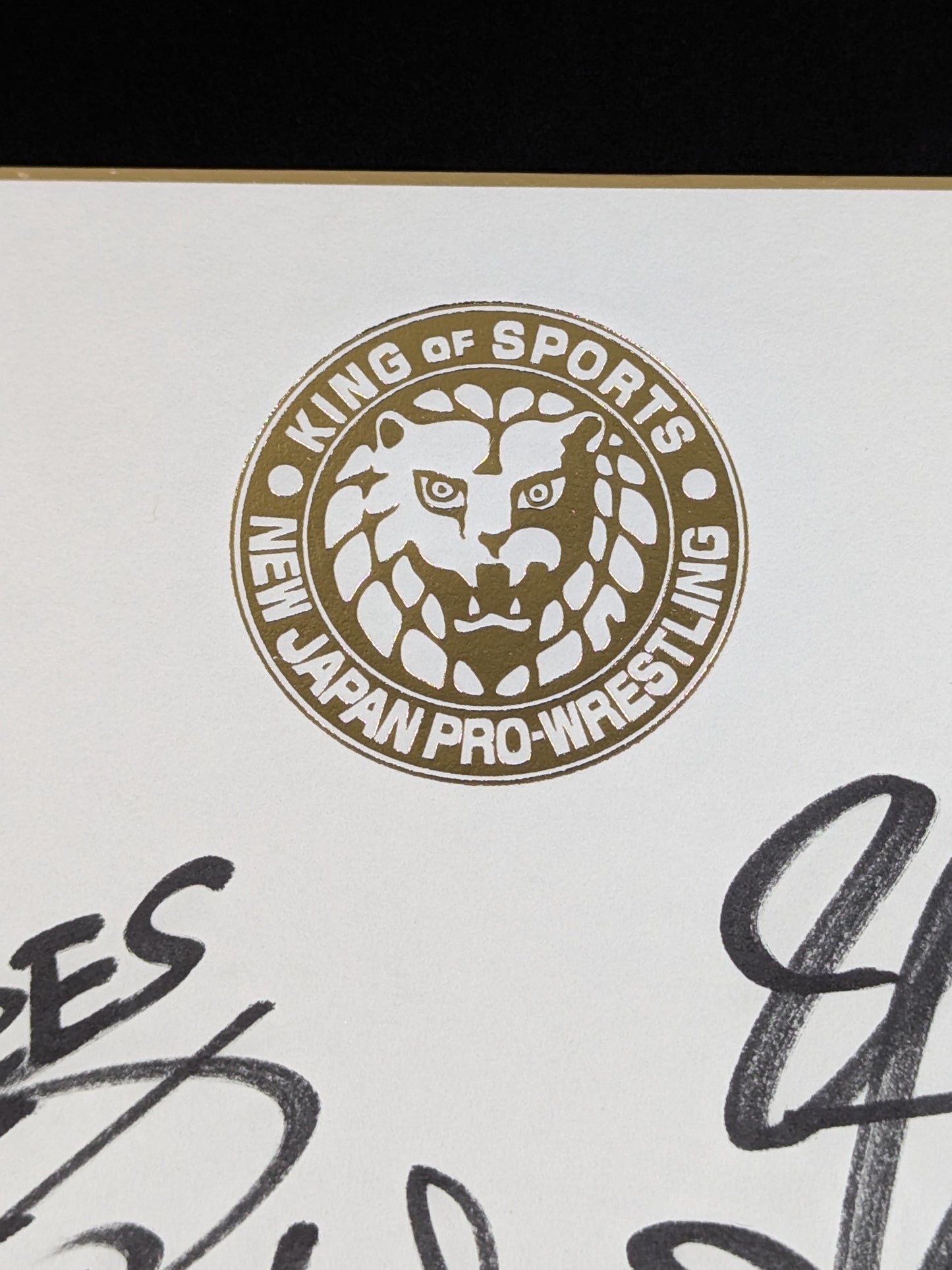★ ★ LOS INGOBERNABLES de JAPON 5 fighters  (Lion Mark Shikishi ( Autograph board ) )