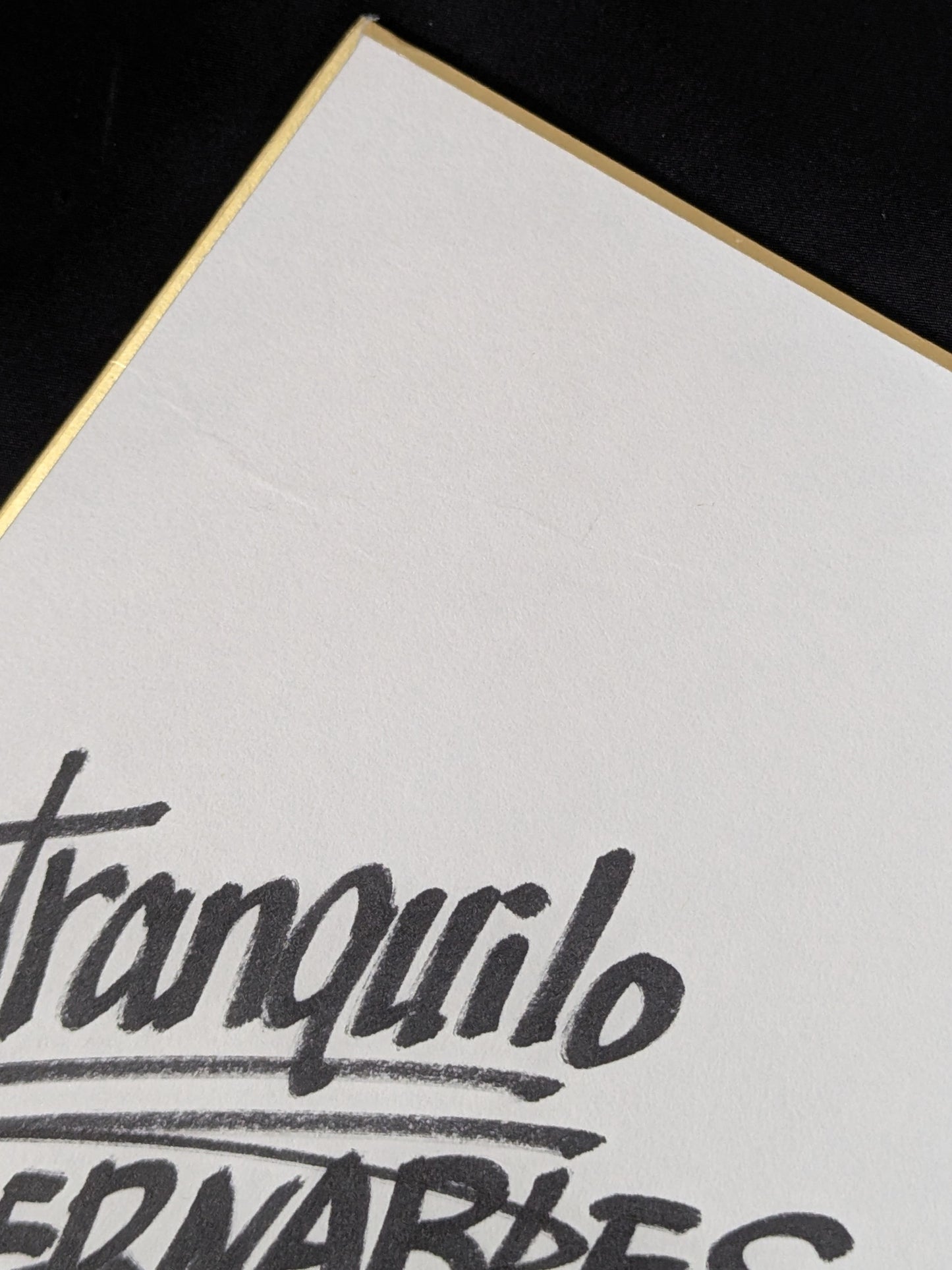 ★ ★ LOS INGOBERNABLES de JAPON 5 fighters  (Lion Mark Shikishi ( Autograph board ) )