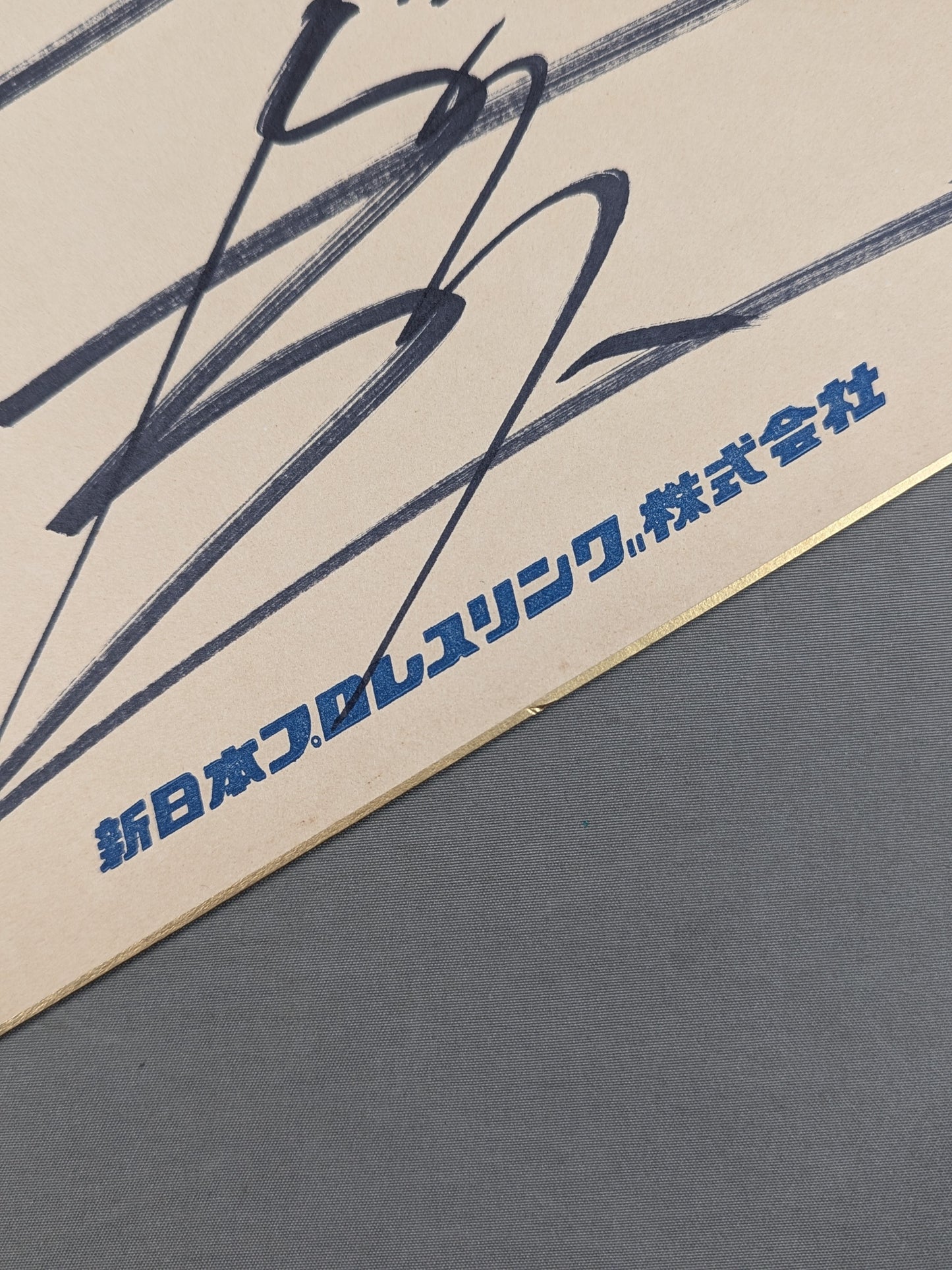 Seiji Sakaguchi (New Japan Pro Wrestling  only) Shikishi ( Autograph board ) )
