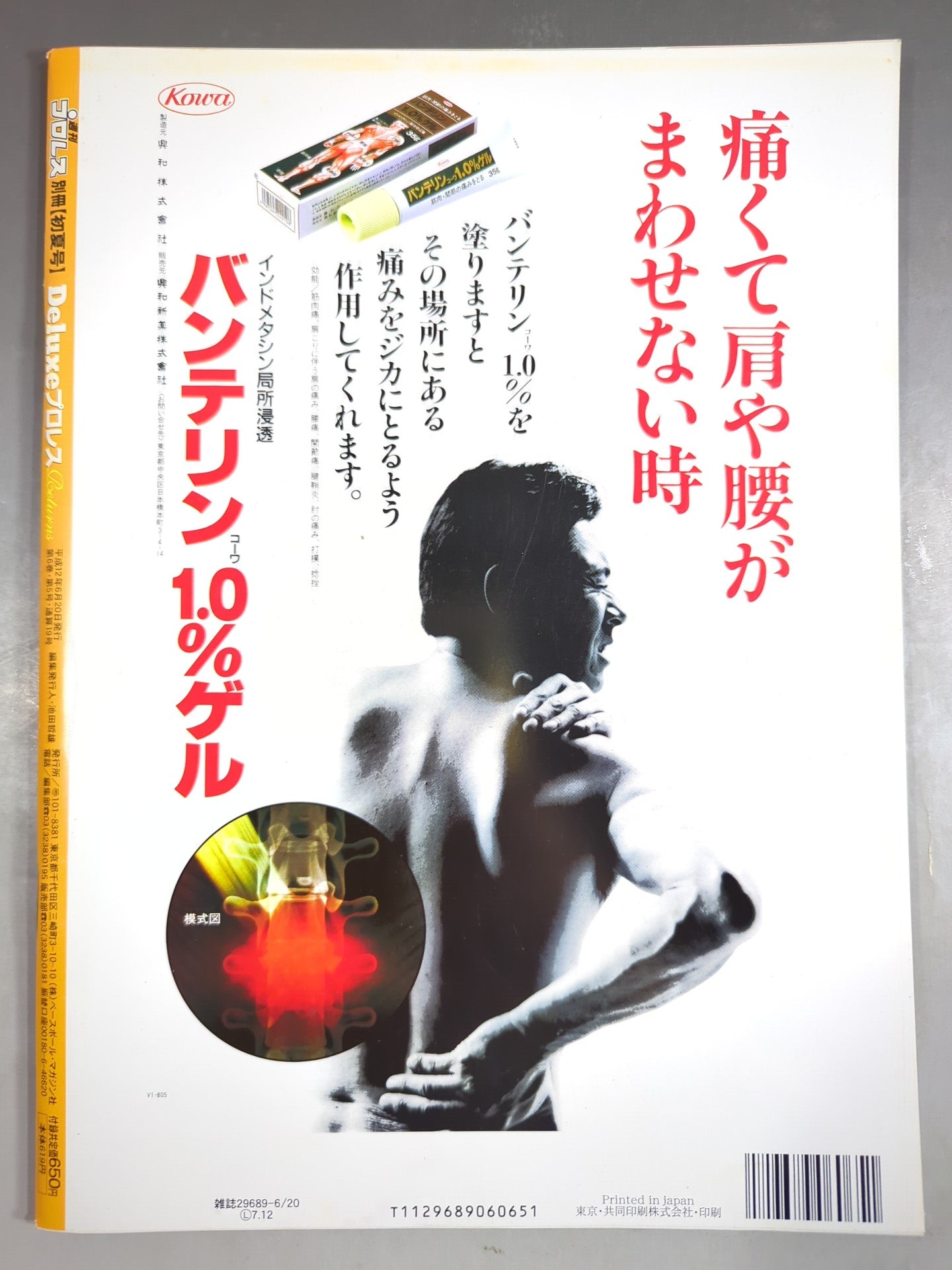 Deluxe Pro Wrestling  19 Weekly Pro Wrestling  Supplement [Early Summer Issue]