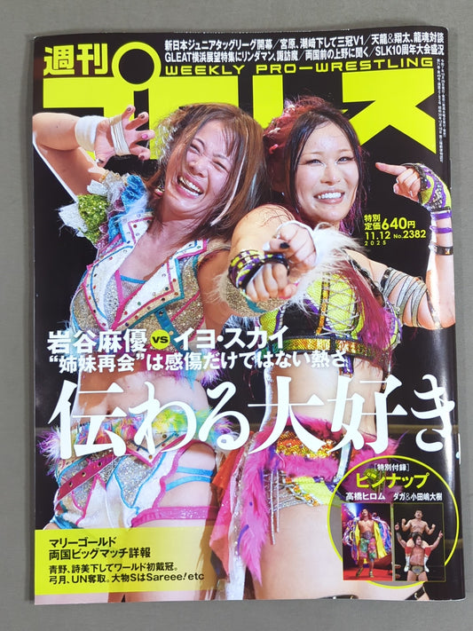 Weekly Pro Wrestling 2382