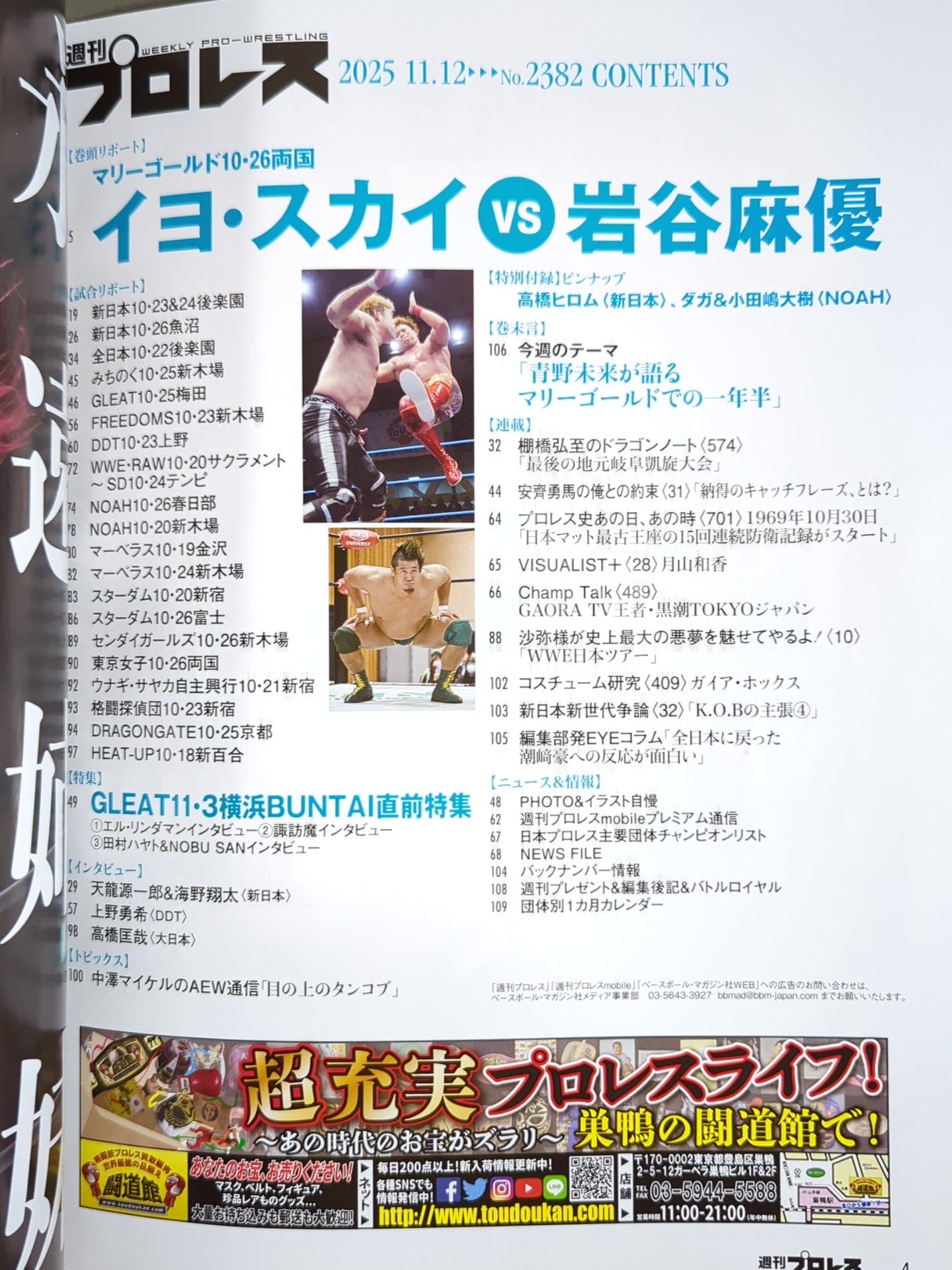 Weekly Pro Wrestling 2382