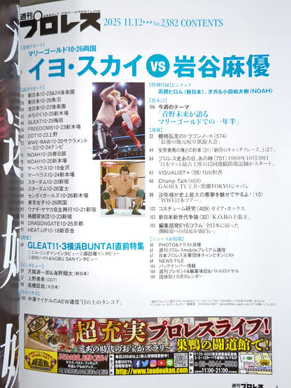 Weekly Pro Wrestling 2382