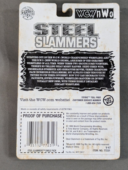 Diamond Dallas Page (STEEL SLAMMERS)