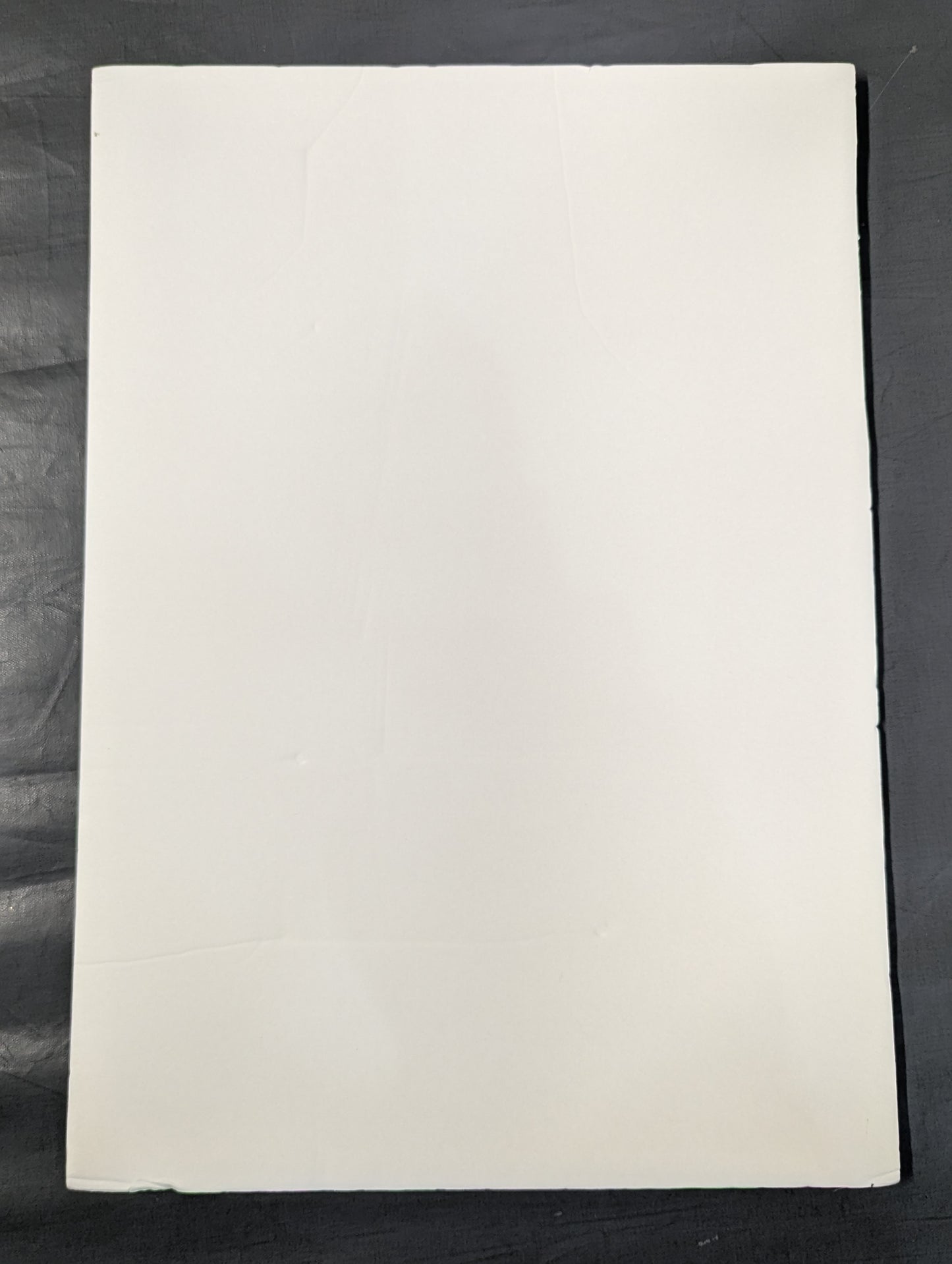 Hirooki Goto  Photo Panel