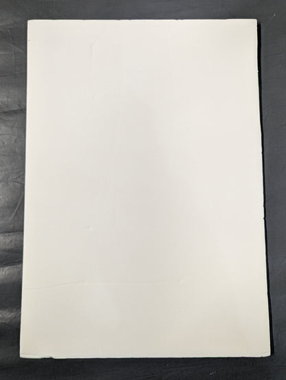 Hirooki Goto  Photo Panel