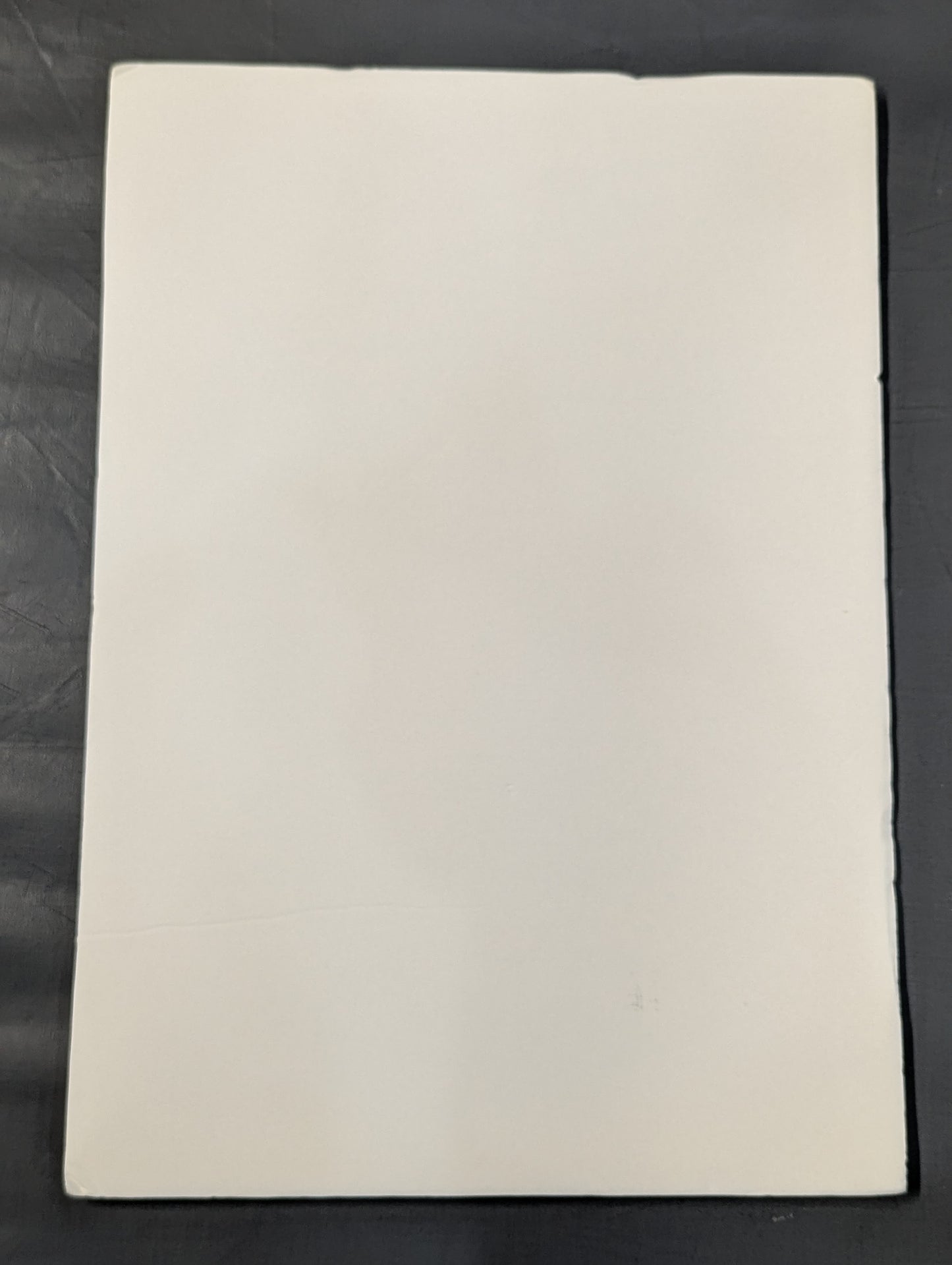 【hand signed autograph】 Prince Devitt  Photo Panel