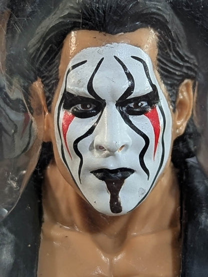 【hand signed autograph】  Sting  (white paint) )