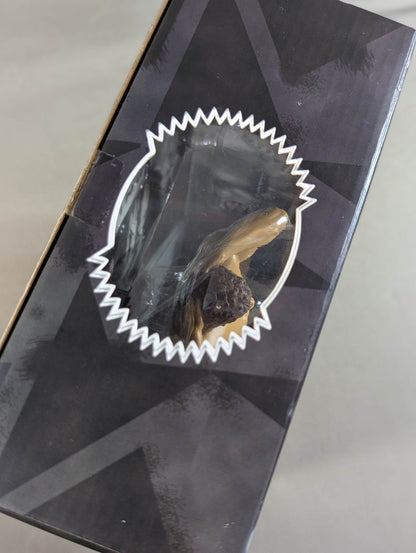 ★UNMATCHED FURY★ Rick Ruud