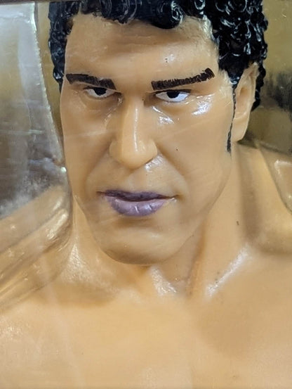 ★ ★ Limited Hulk Hogan vs Andre the Giant 