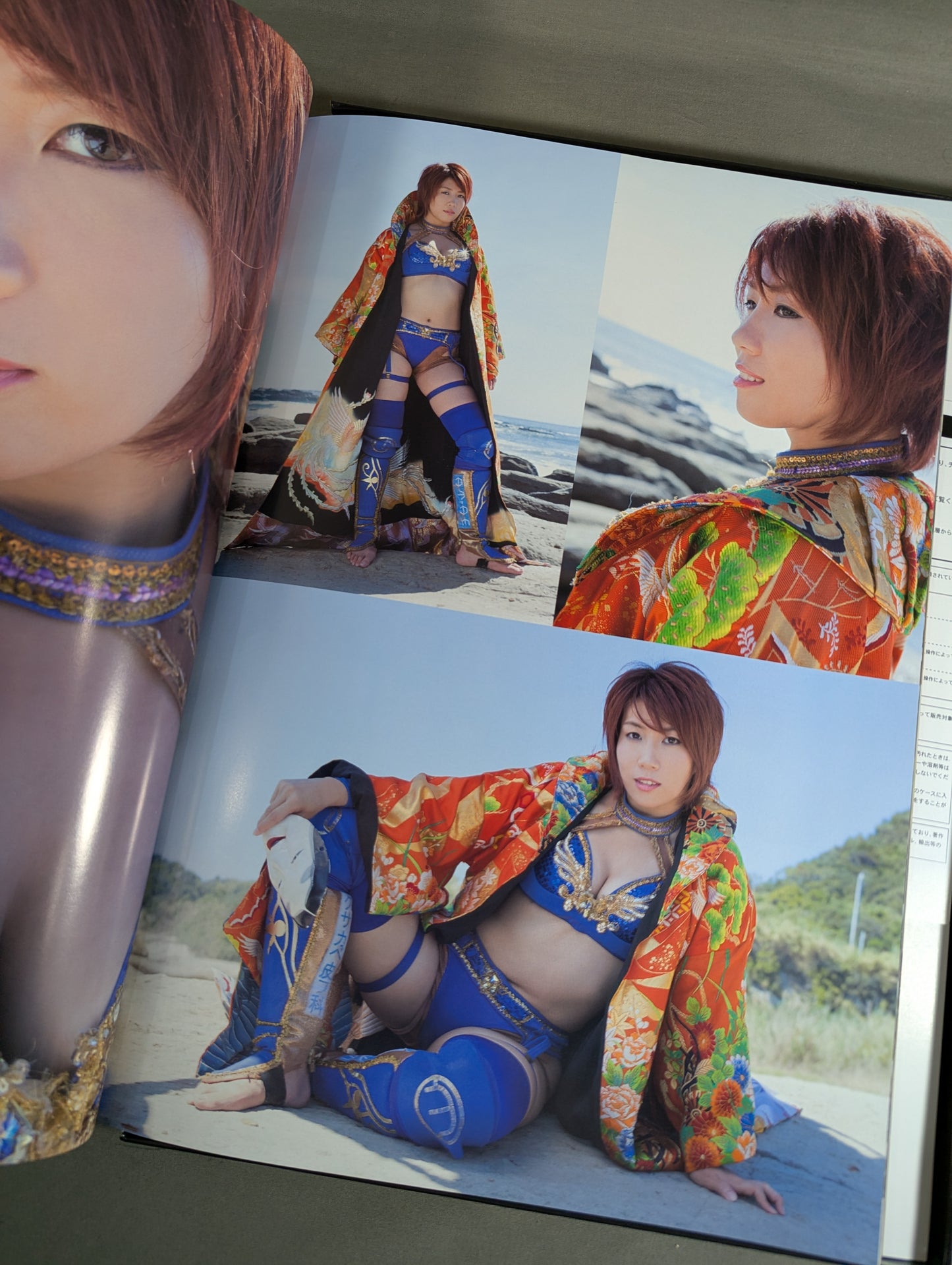 Wrestling New Classic ~TAJIRI Advent~