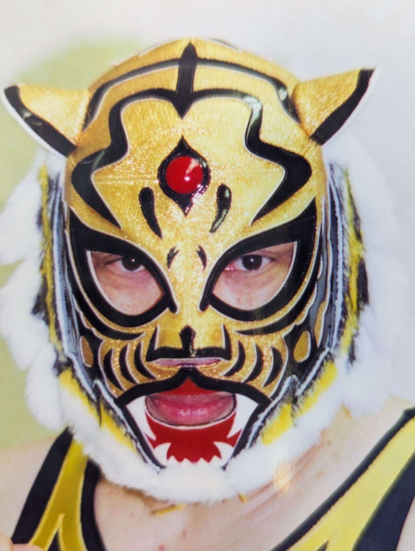 The first Tiger Mask