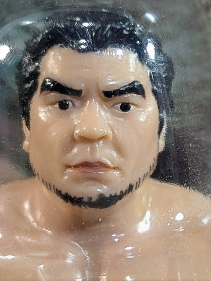 Mitsuharu Misawa  (GHC belt)