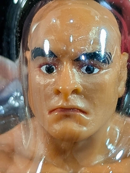 Rickson Gracie  (Bushido, White Knee Pad)