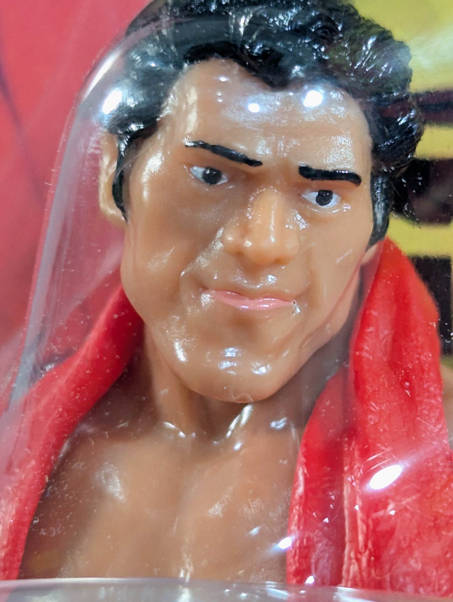 Antonio Inoki  (red towel)