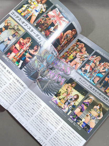 STARDOM OFFICIAL GUIDE BOOK Vol.138