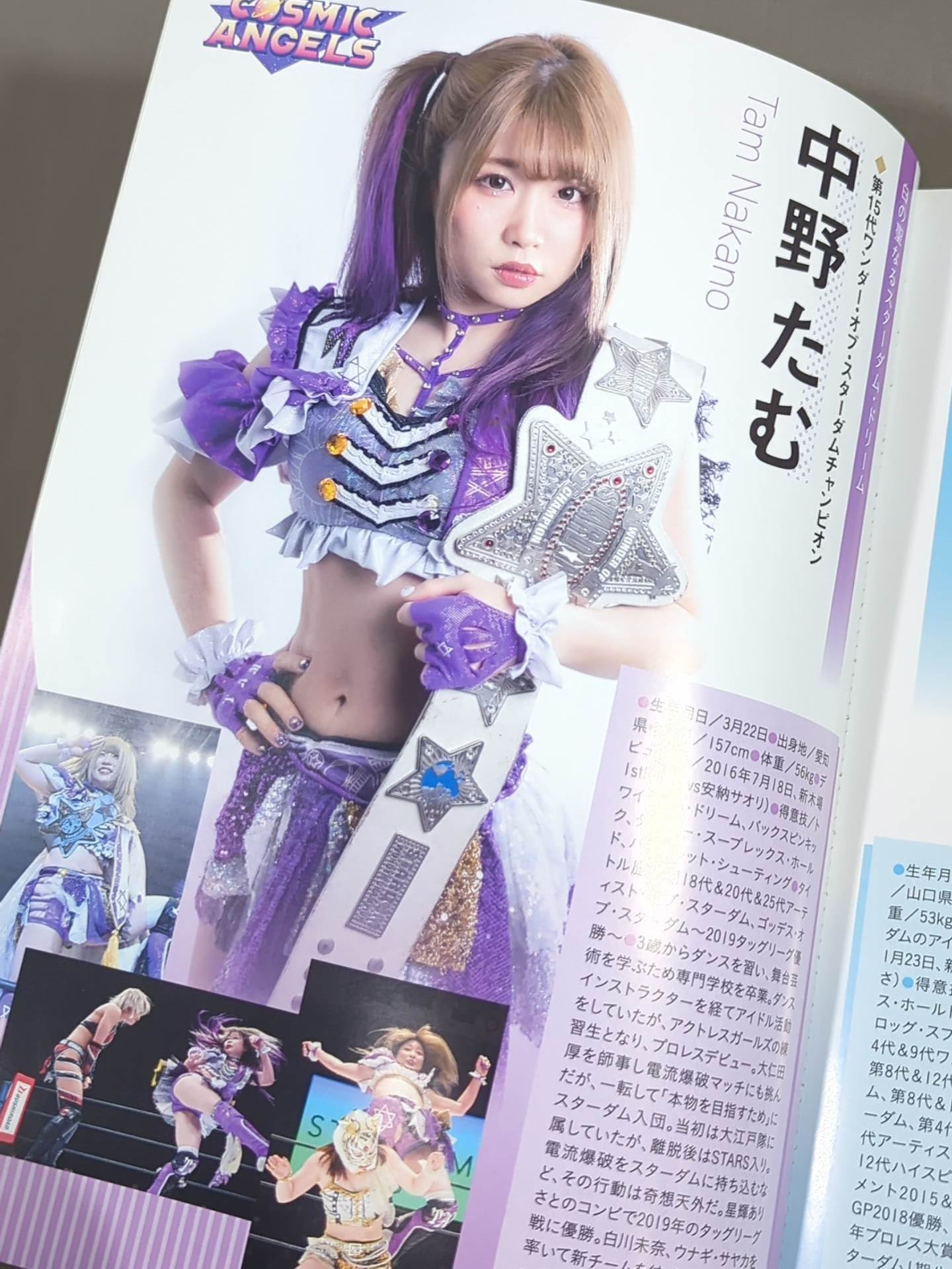 STARDOM OFFICIAL GUIDE BOOK Vol.135