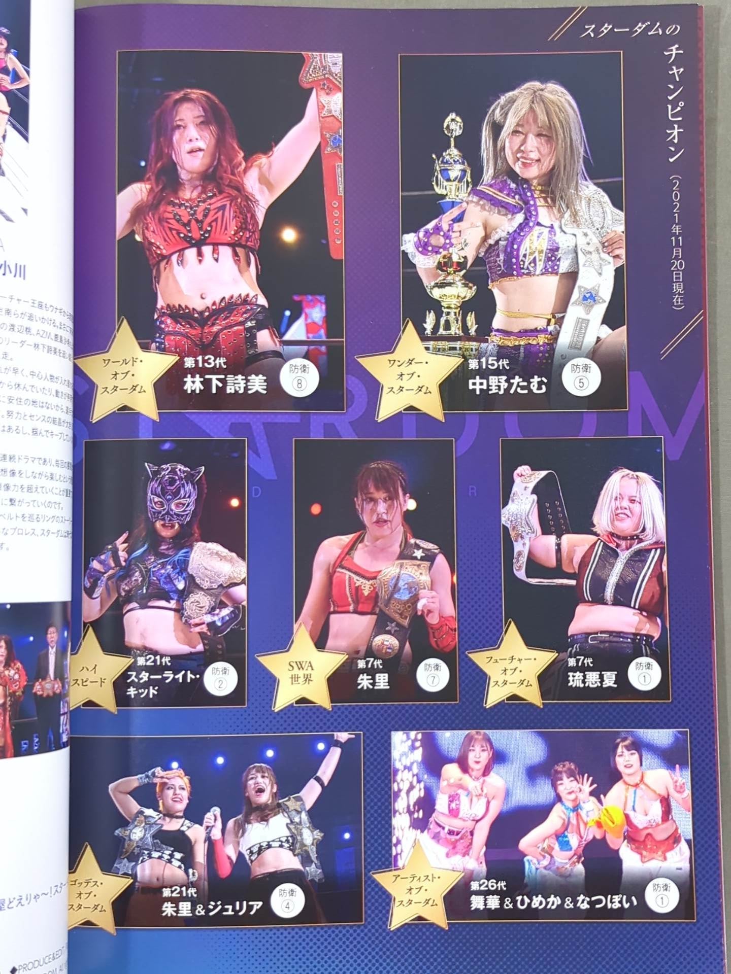 STARDOM OFFICIAL GUIDE BOOK Vol.139