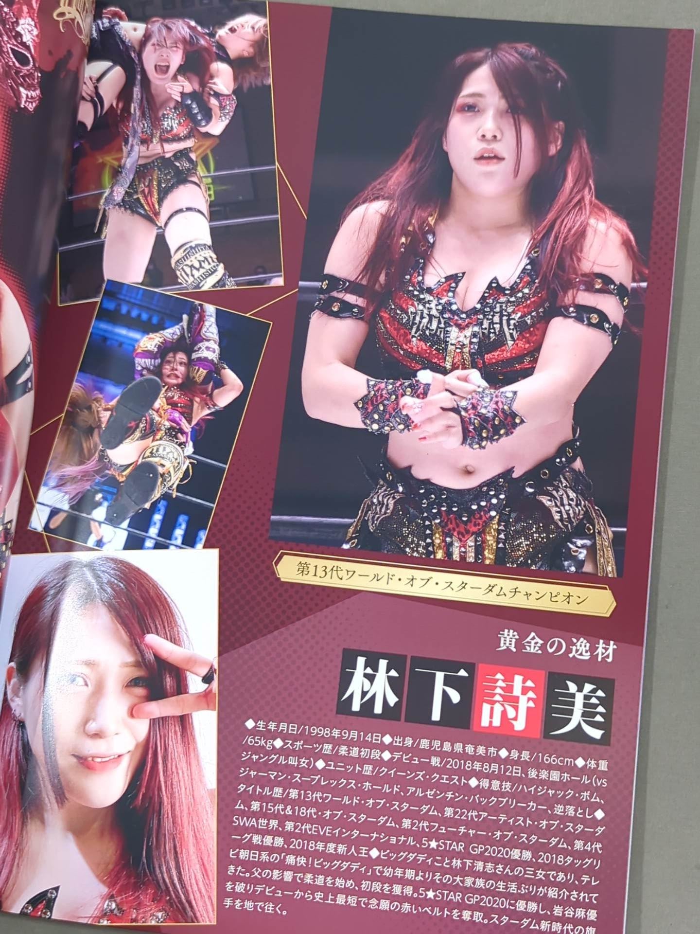 STARDOM OFFICIAL GUIDE BOOK Vol.139